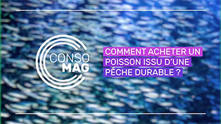 Comment acheter un poisson issu d'une pêche responsable ? avec l'UFC-Que Choisir