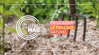 Privilégier le paillage naturel avec l'Office français de la biodiversité