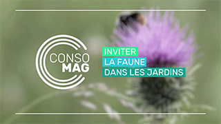 Inviter la faune dans les jardins avec l'Office français de la biodiversité