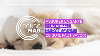 Assurer la santé d'un animal de compagnie : ce qu'il faut savoir avec la Banque de France