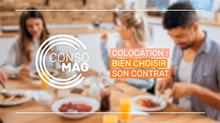 Colocation : bien choisir son contrat pour une colocation réussie avec la CGL